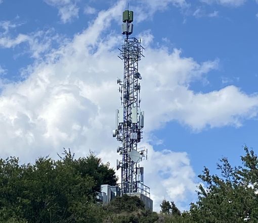 NON C'E' CAMPO! NON C'E' CAMPO!