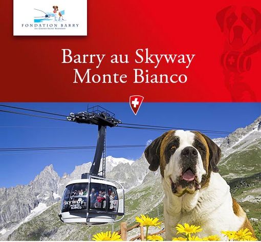 le Saint-Bernard au Val d’Aoste (montage photo RR) le Saint-Bernard au Val d’Aoste (montage photo RR)