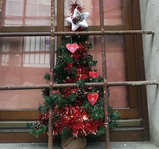 #charvensodnoel2020 prima classificata Erika Gray Cespedes Angles #charvensodnoel2020 prima classificata Erika Gray Cespedes Angles