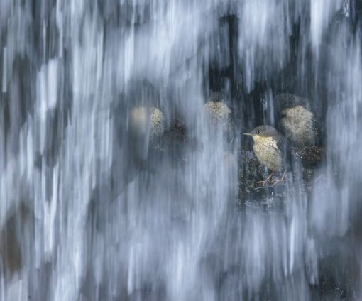 Fabrizio Stefani si aggiudica il primo premio del XVIII concorso fotografico “Sottosopra” di Fondation Grand Paradis