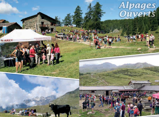 Alpages Ouverts-Alpeggi Aperti 2024: Celebrando 25 anni di tradizione e dedizione