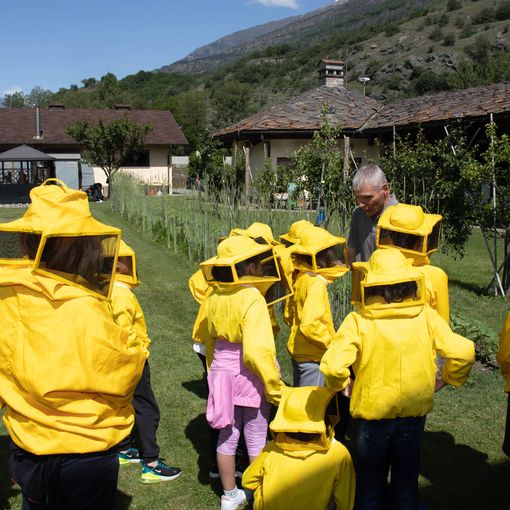 Itinéraires de découverte, oltre 1700 bambini alla scoperta dell'agricoltura