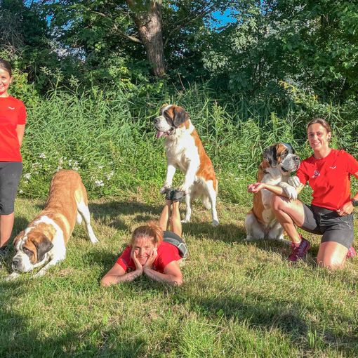 Elles murmurent à l’oreille des chiens Posté le 23.09.2024