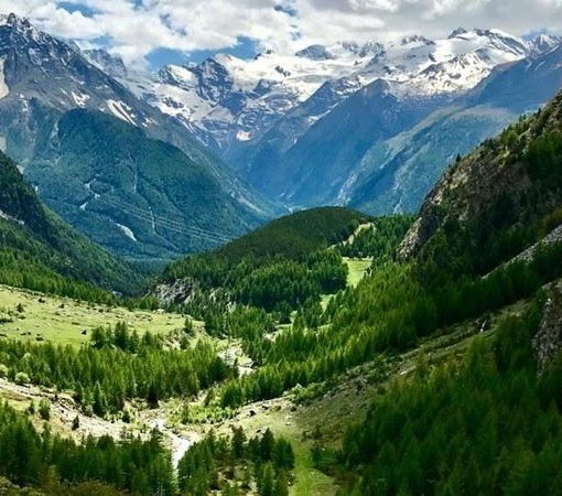Salviamo il Vallone del Grauson