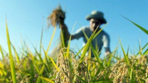 Per Lo Tsaven Campagna Amica è tempo di sapori autunnali