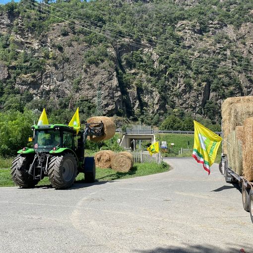 Foto Coldiretti VdA