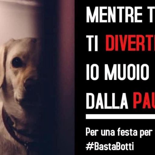 Partita la Campagna “Basta Botti 2023”