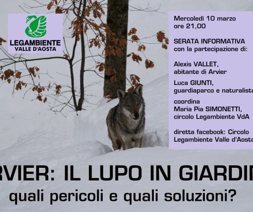 Quando il lupo arriva in giardino, esperti e popolazione a confronto