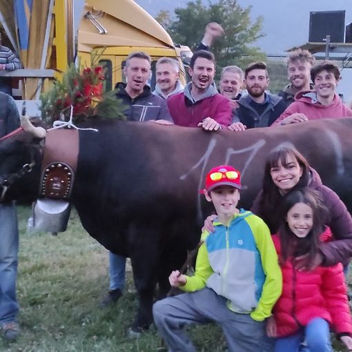 Samba reina di prima categoria  (foto Association Régionale Amis des Batailles de Reines)