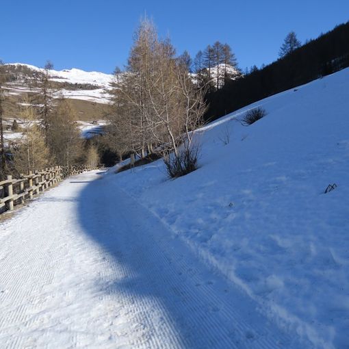 MONTAGNA VDA: VEUILLEN - CHAMOIS