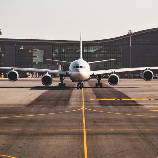 “Volano maiali”: serviranno fino a 8.800 maiali (morti) per alimentare un volo da Parigi a New York