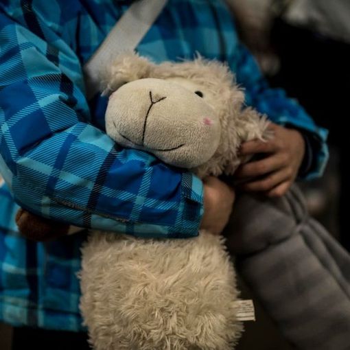 L'invito del Papa 'a Natale meno spese, risparmiamo e aiutiamo l'Ucraina che soffre'