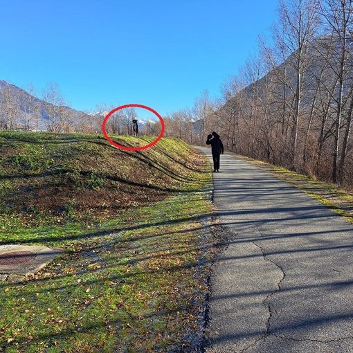 L'OPINIONE DI UNA LETTRICE: DIRITTI E DOVERI CALPESTATI E VILLIPESI MA NESSUNO CONTROLLA