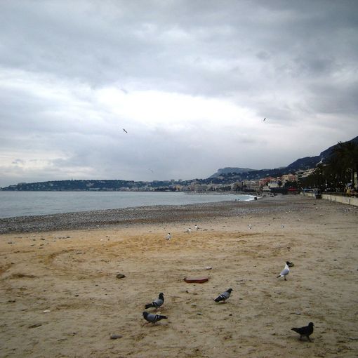 Cap Martin