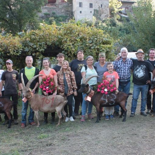 Batailles des chevres: Grande spettacolo ad Arvier