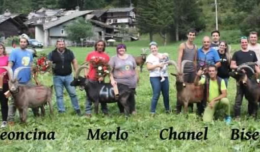 Batailles des Chèvres: Successo dell’amichevole di Valsavarenche