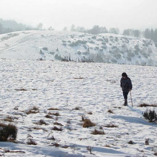 Sulla dorsale innevata (ph. Mauro Carlesso)