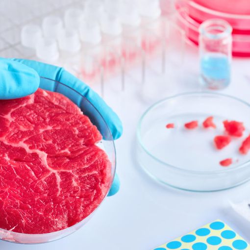 La carne sintetica inquyina 25 volte di più