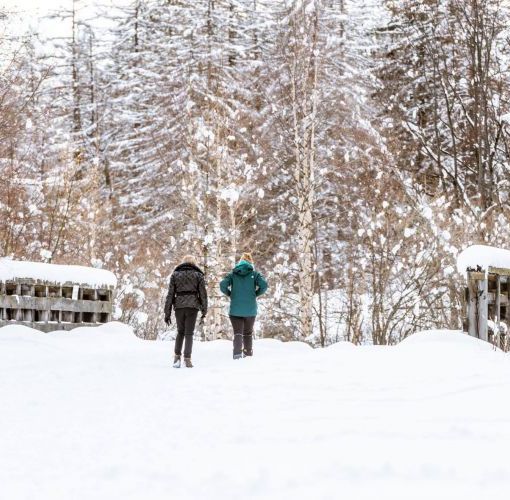 L'ESCURSIONE DELLA SETTIMANA: Courmayeur a passo slow: tre nuovi itinerari e tante proposte per le famiglie