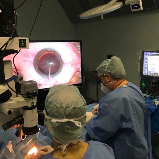 Convegno di Oculistica 3D al Beauregard di Aosta