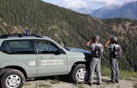 Potenziato con un nuovo concorso il Corpo Forestale