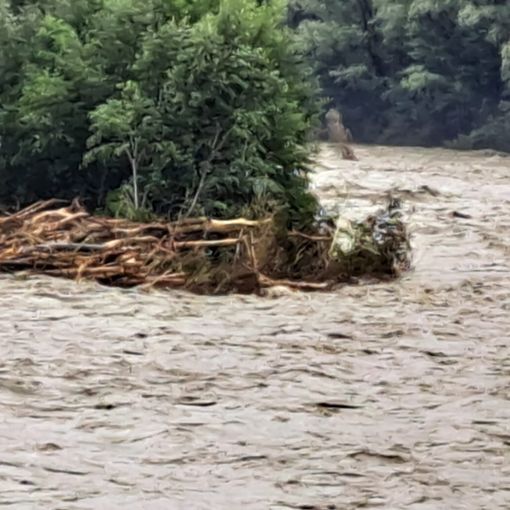 Emergenza maltempo: il Presidente Bertin esprime vicinanza e solidarietà