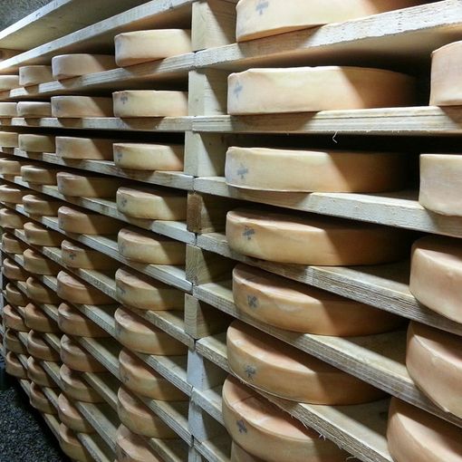 Per Usl invendibili 500 forme di fontina