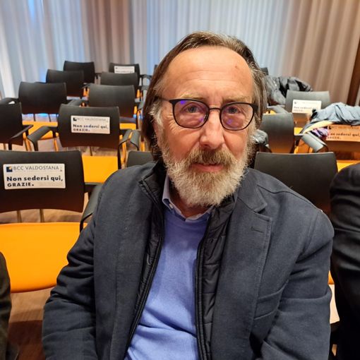 Luigi Fosson, Presidente Adava