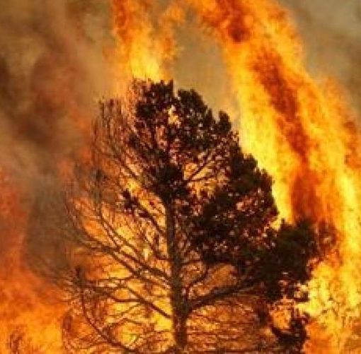 Revocato lo stato di eccezionale pericolo di propagazione incendi boschivi