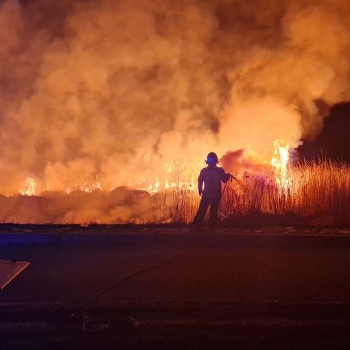 In fiamme il canneto di Lauzon