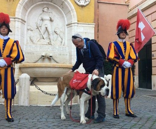 Magnum il San Bernardo sceso a Roma dal colle
