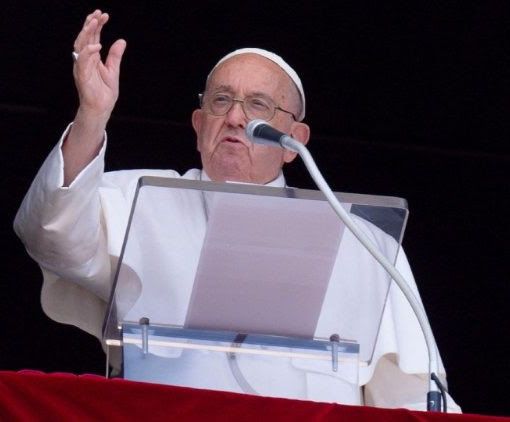 PAPA: Seminare il Vangelo con fiducia e pazienza in ogni ambito di vita