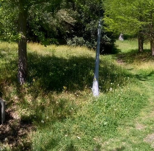 Nella foto di un aostano, il sentiero del parco Saint Ours sembra attraversare un bosco incolto piuttosto che un'area verde comunale