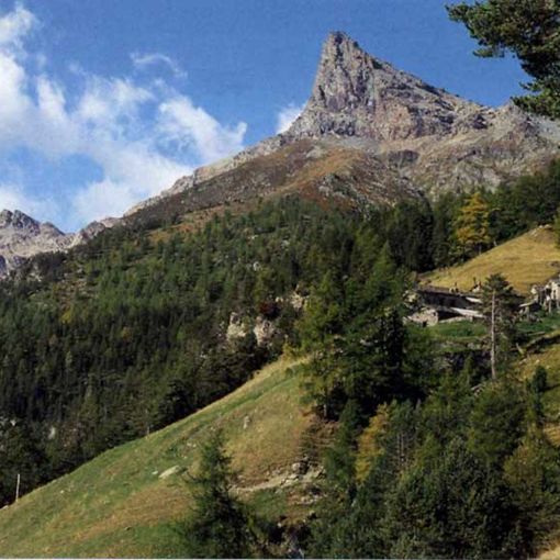 Al Il Parco Naturale Mont Avic tante attività per bambini, ragazzi e famiglie  per l’estate 2024