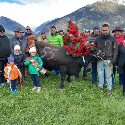 Briganda dell'Azienda agricola Verney