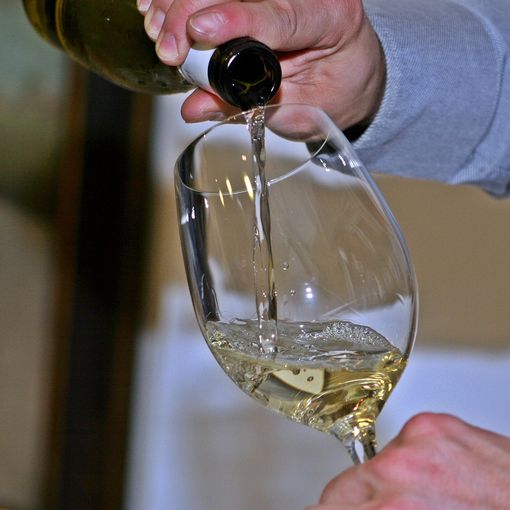 AIS Valle d’Aosta: nuovi corsi sommelier del vino e della birra