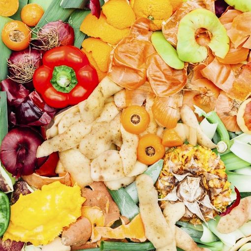 Spreco alimentare, Waste Watcher: è spreco di denaro in famiglia