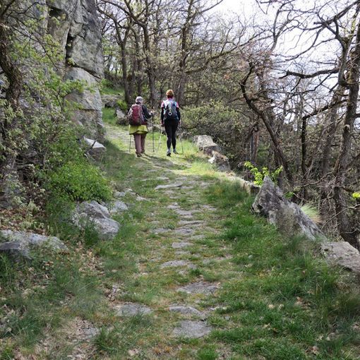 MONTAGNA VDA: STRADA DEI POLACCHI - SAINT VINCENT