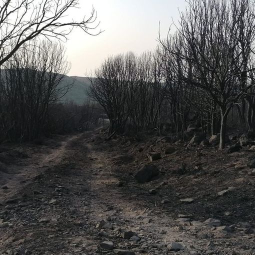 Territorio di Santu Lussurgiu © Giovanna Barracu