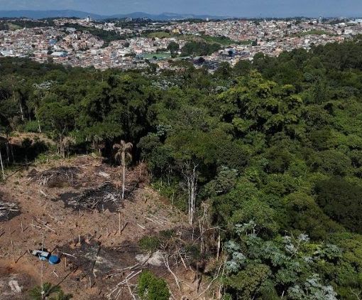 PAPA: La terra sta andando in rovina, costruiamo la casa comune