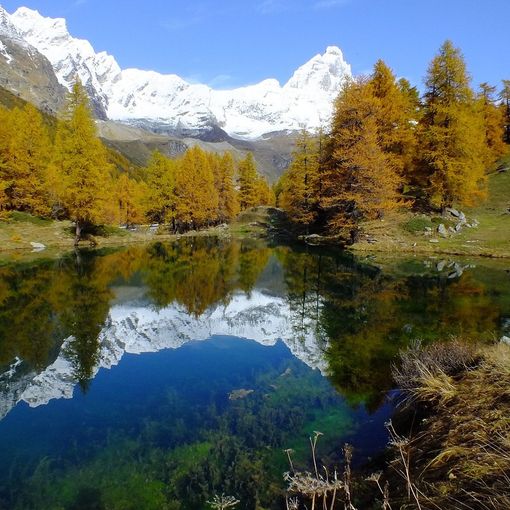 In distribuzione il questionario 2023 per fotografare lo stato del tessuto imprenditoriale valdostano