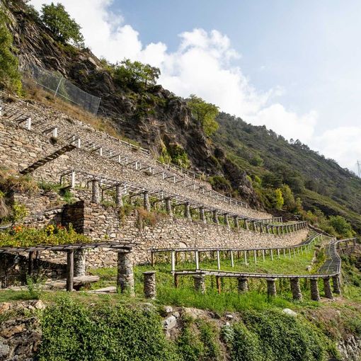 I paesaggi della viticoltura eroica: qualità e biodiversità, due valori di un territorio sostenibile