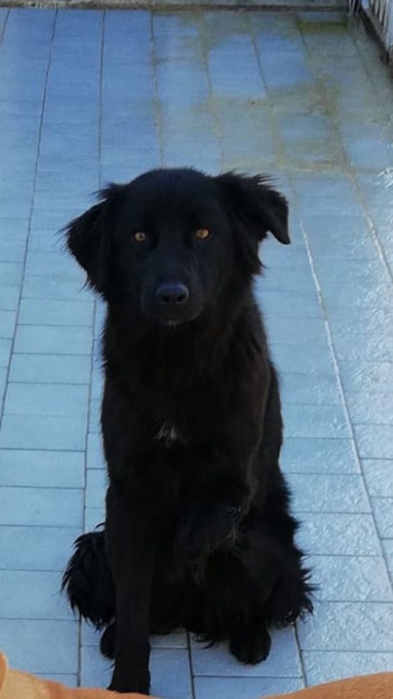 DOLCISSIMA SENZA NOME DOLCISSIMA SENZA NOME