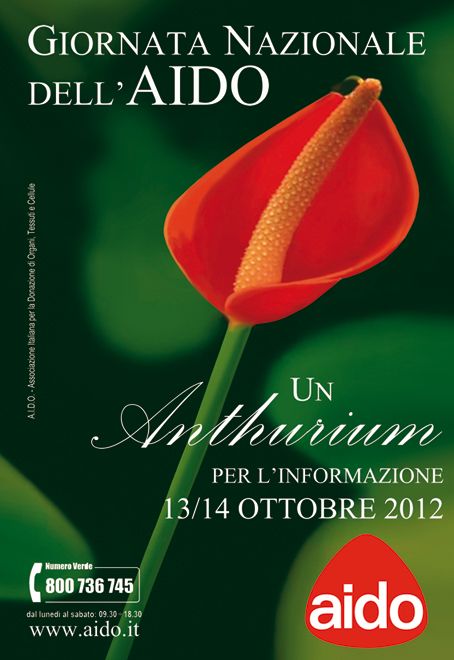 Il 13 e 14 ottobre Giornate nazionali dell’ Aido: un anthurium per l’informazione