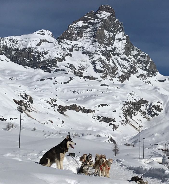 Alpinista muore sul versante elvetico del Cervino