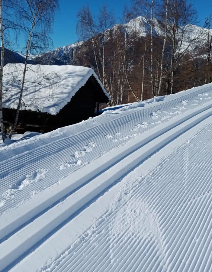 Da sn Luca Zanchetti Società Sport Studio, Speranza Girod Si daco, assessore Laurent Vierin e il dirigente regionale e Comandante del Corpo forestale valdostano Falvio Vertui