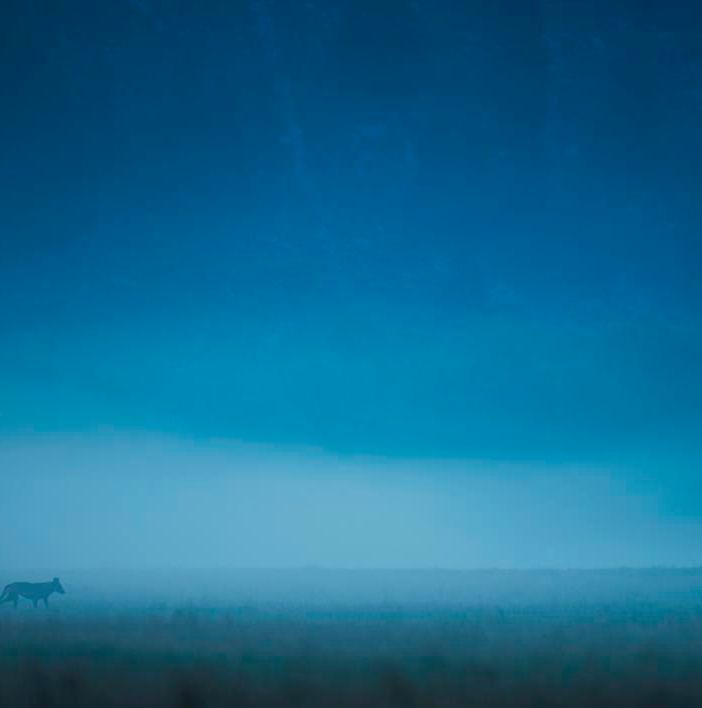 L'immagine con cui Gianluca Damiani ha vinto