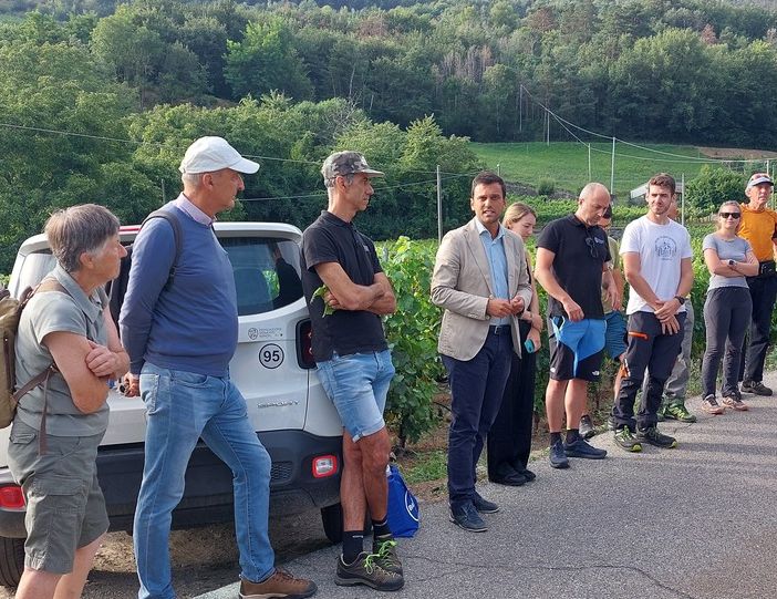 Prevenzione e lotta alla flavescenza dorata della vite