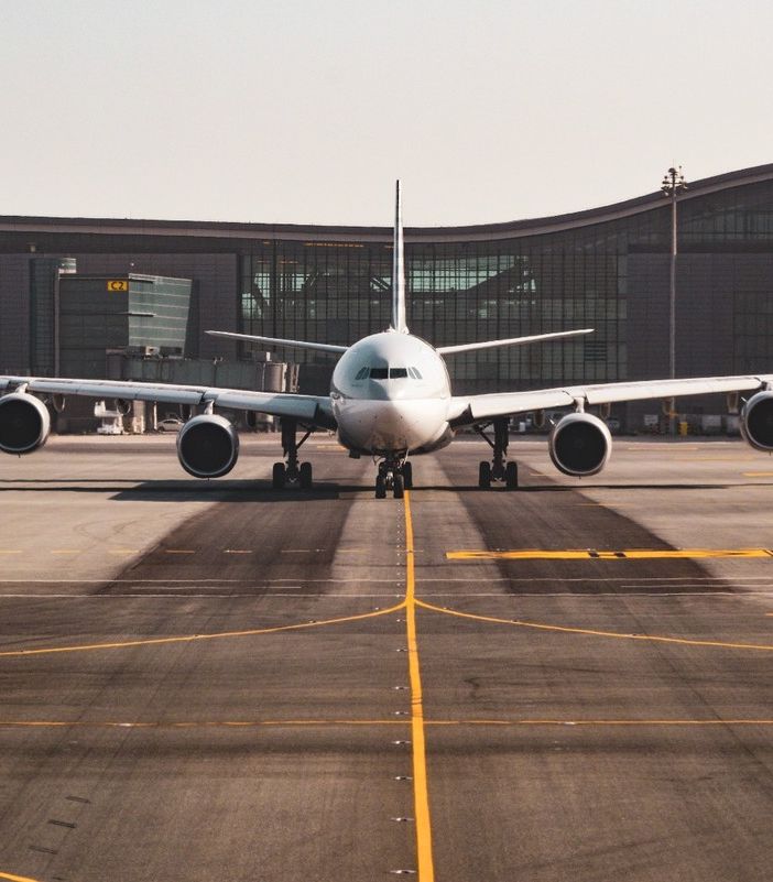 “Volano maiali”: serviranno fino a 8.800 maiali (morti) per alimentare un volo da Parigi a New York