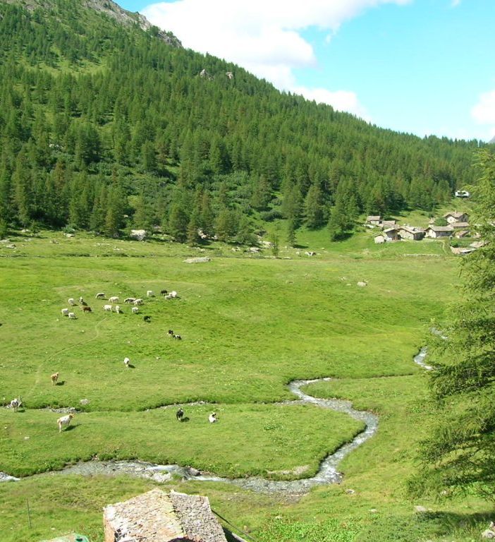 Salviamo i prati stabili e i pascoli! Quali sono, a cosa servono, che cosa occorre per proteggerli?